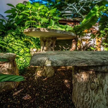 Lejlighed Casa Justa *